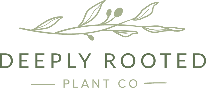 Deeply Rooted Plant Co Logo